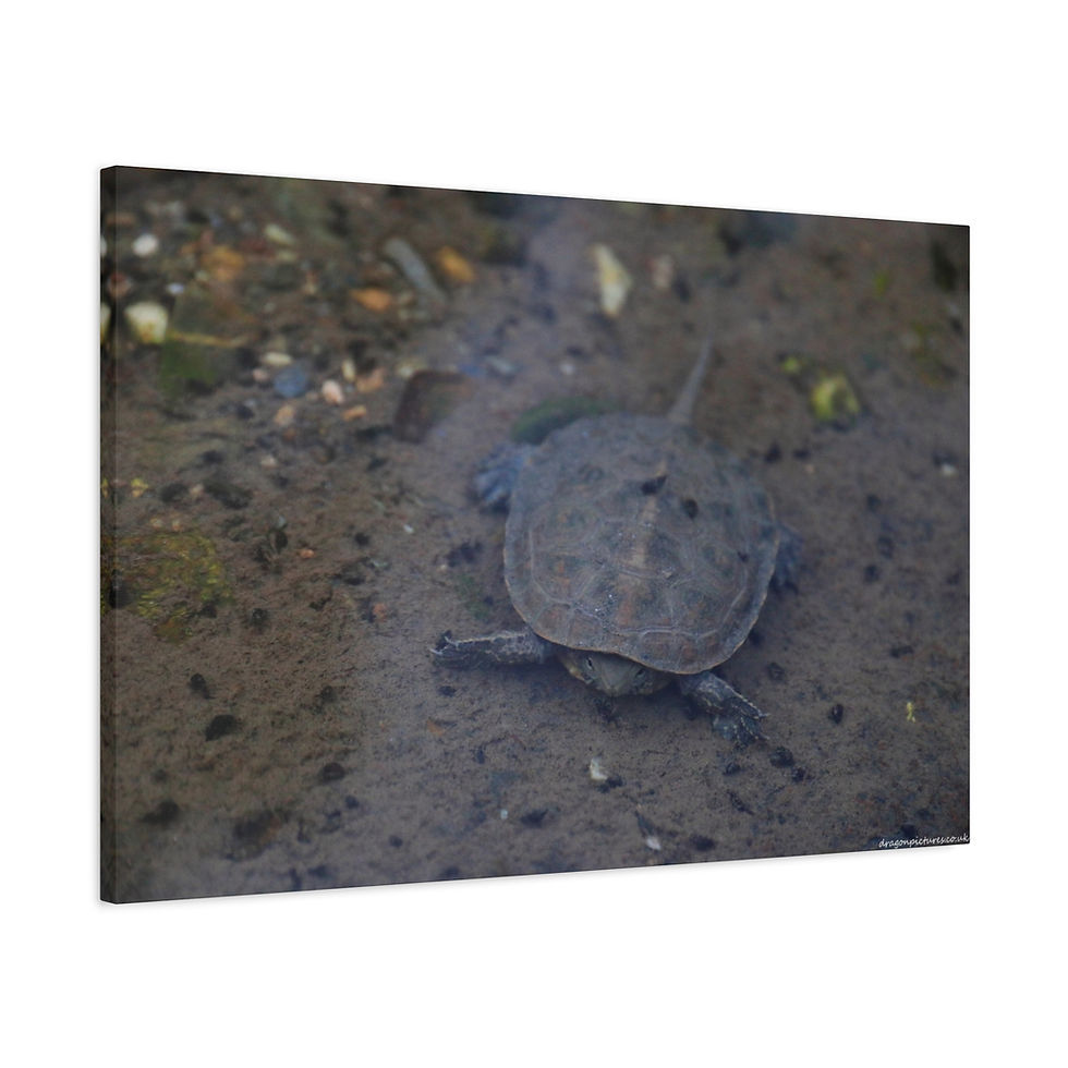 Thumbnail: Atoms Animated 012 | Canvas Print | Mirror Sides | 36"x24" |