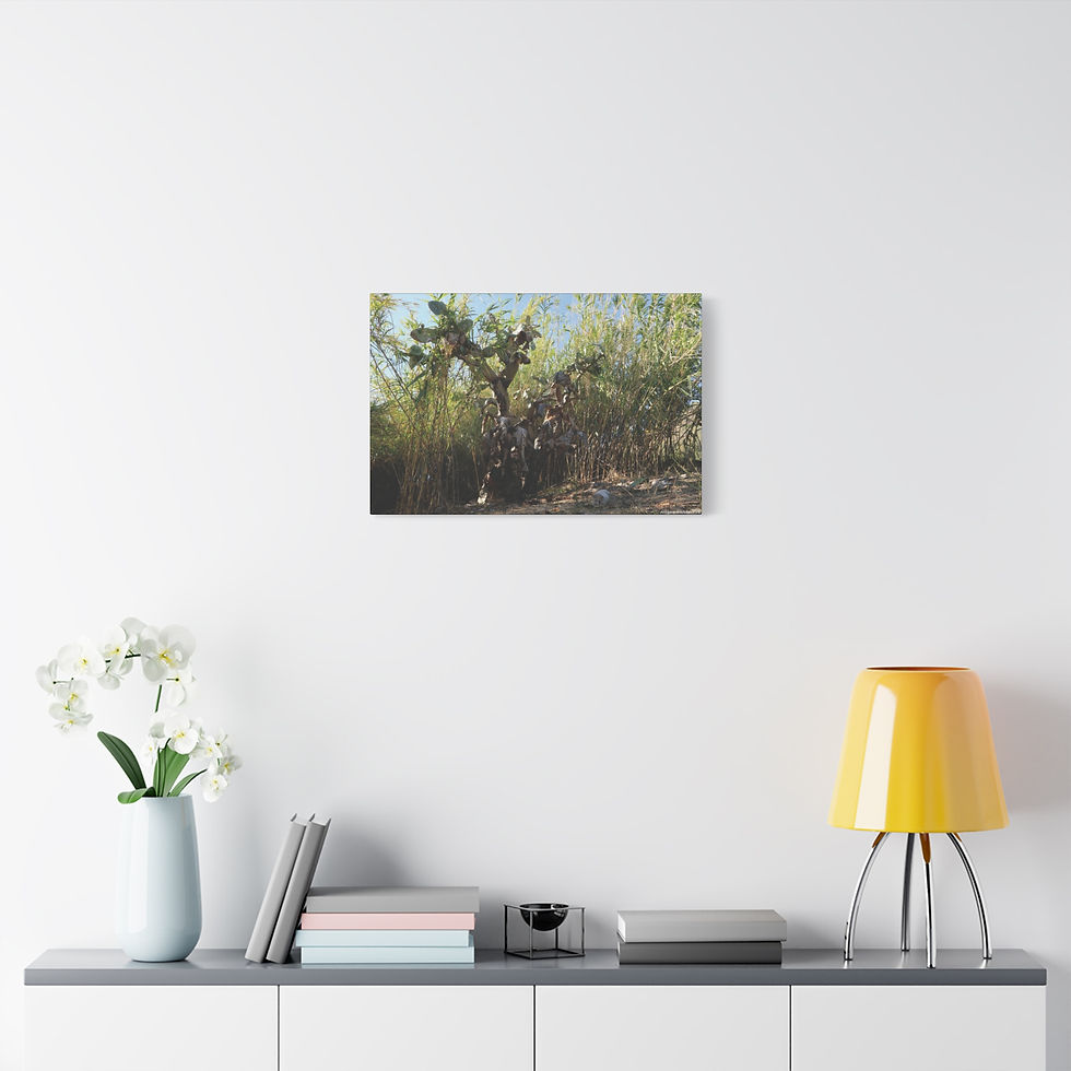 Thumbnail: Atoms Animated 007 | Canvas Print | Mirror Sides | 24"x16" | 30"x20" |