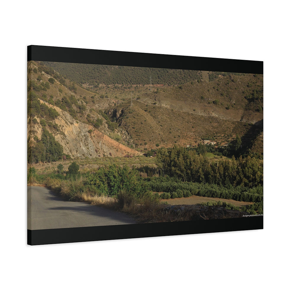 Thumbnail: Weathered Skin 012 | Canvas Print | Mirror Sides | 36"x24" |