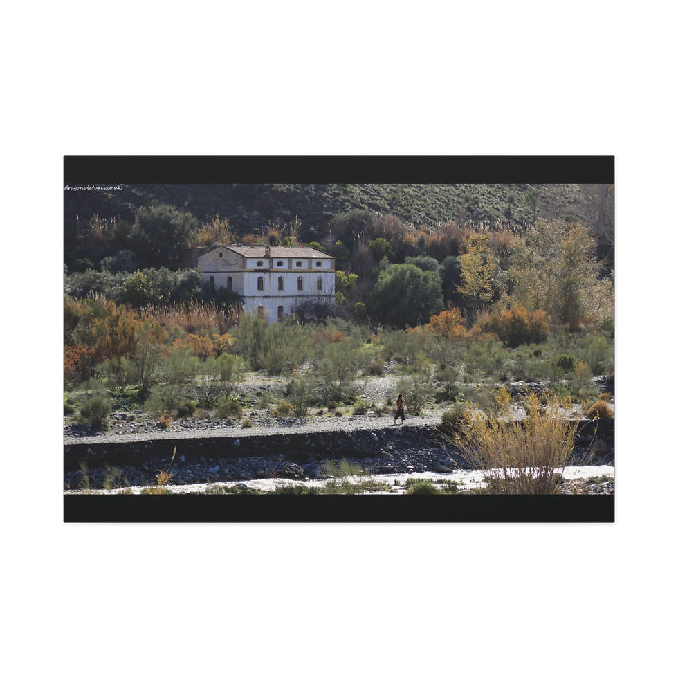 Thumbnail: Weathered Skin 004 | Canvas Print | Mirror Sides | 48"x32" |