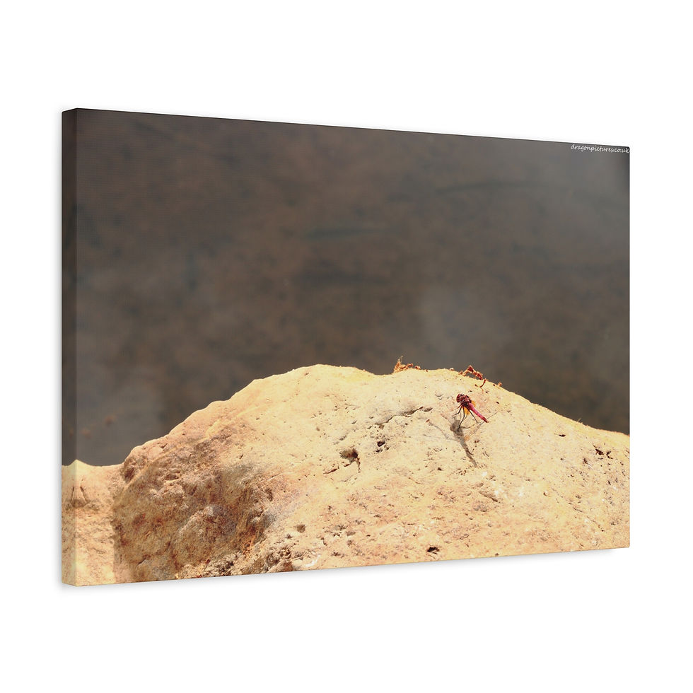 Thumbnail: Atoms Animated 011 | Canvas Print | Mirror Sides | 24"x16" | 30"x20" |