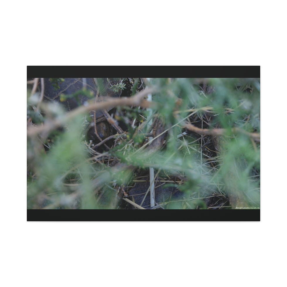 Thumbnail: Atoms Animated 006 | Canvas Print | Mirror Sides | 48"x32" |