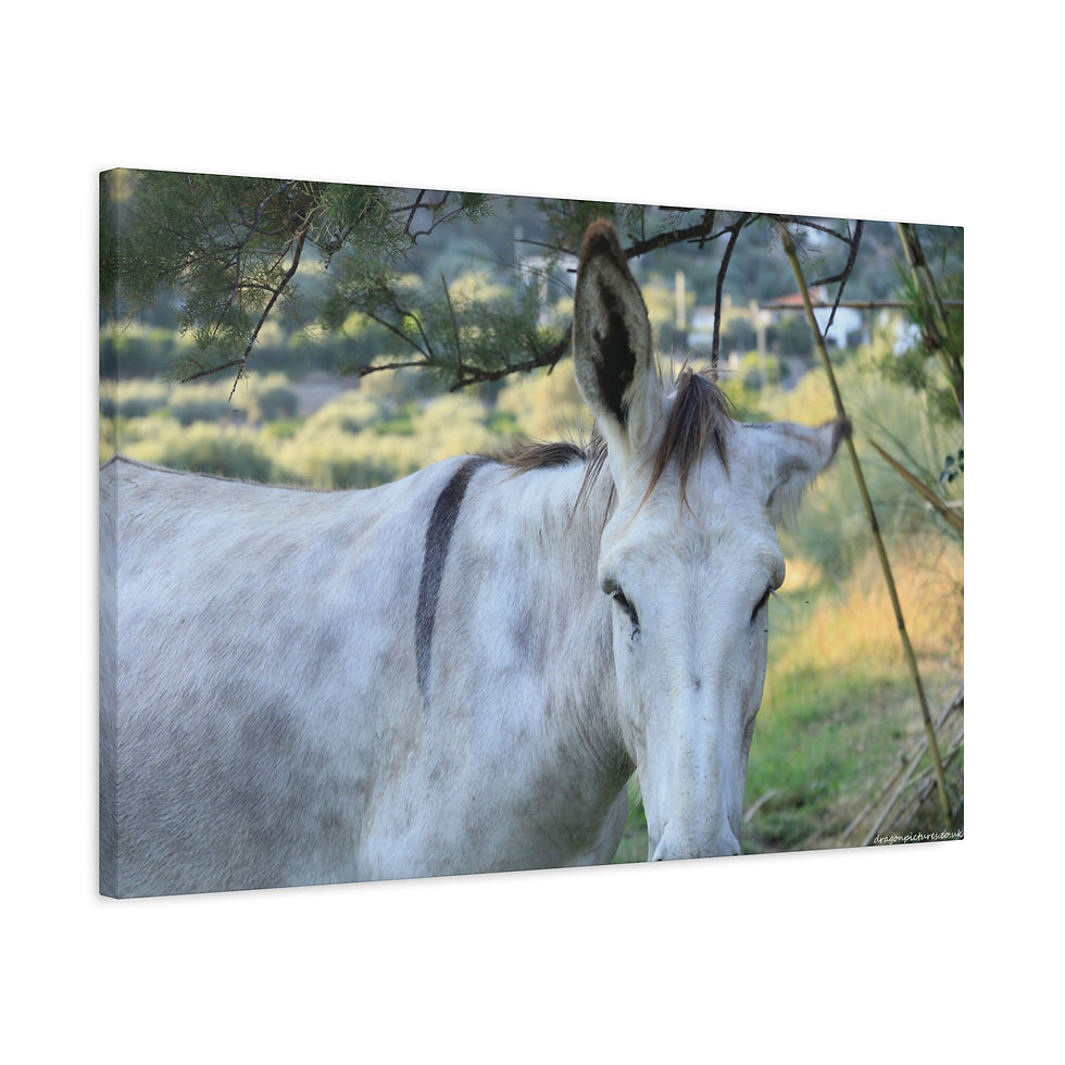 Thumbnail: Atoms Animated 003 | Canvas Print | Mirror Sides | 24"x16" | 30"x20" |