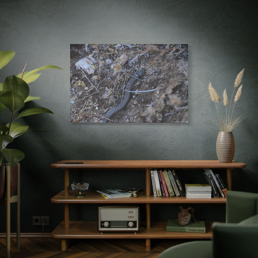 Thumbnail: Atoms Animated 002 | Canvas Print | Mirror Sides | 48"x32" |