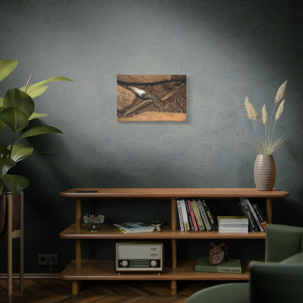 Thumbnail: Atoms Animated 005 | Canvas Print | Mirror Sides | 24"x16" | 30"x20" |