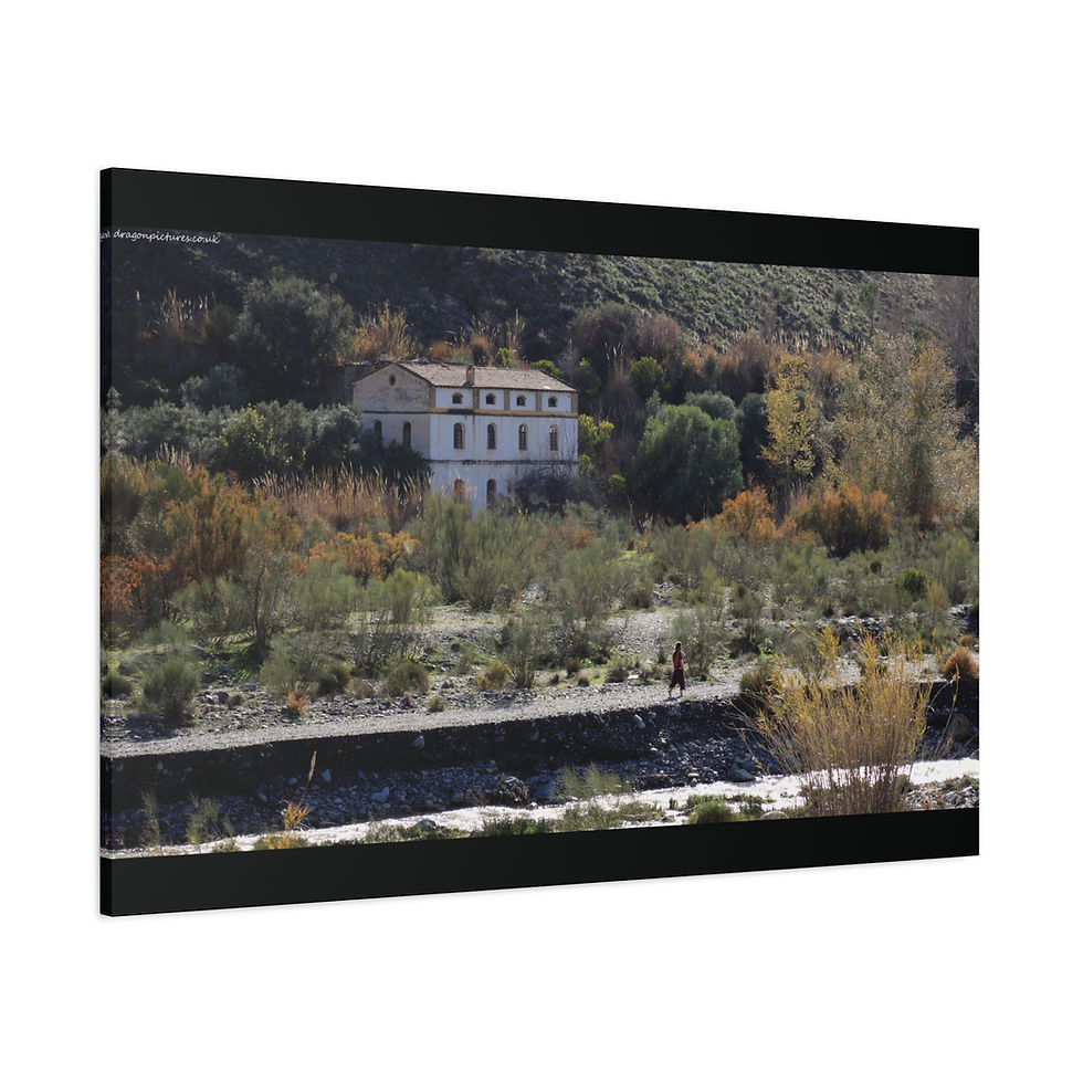 Thumbnail: Weathered Skin 004 | Canvas Print | Mirror Sides | 48"x32" |