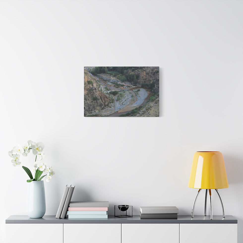 Thumbnail: Weathered Skin 013 | Canvas Print | Mirror Sides | 24"x16" | 30"x20" |