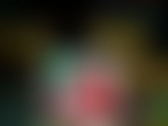 Fun Ice Cubes for Summer!