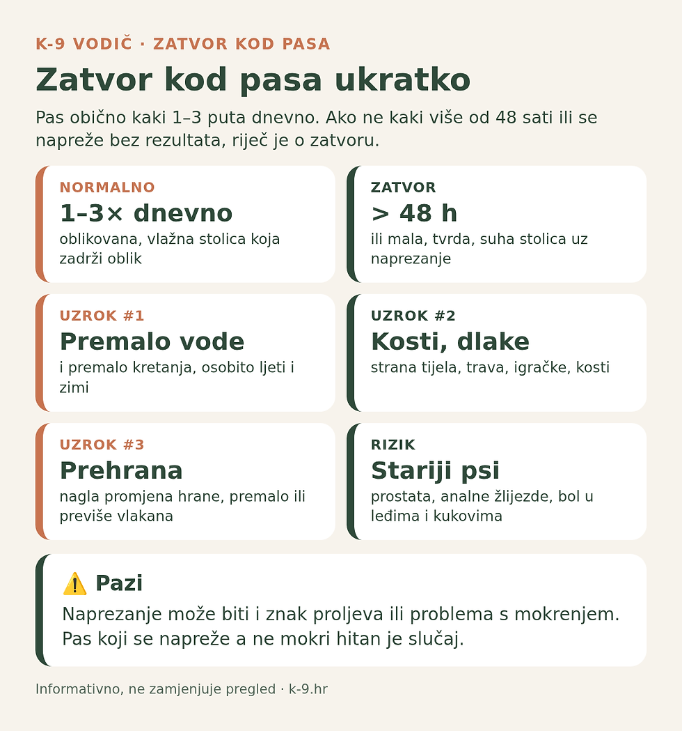 Zatvor kod pasa ukratko – koliko često pas kaki, uzroci i rizici (K-9 infografika)
