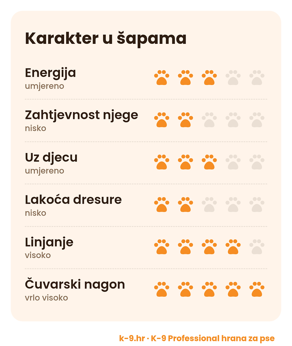 Srednjeazijski ovčar – karakter u šapama