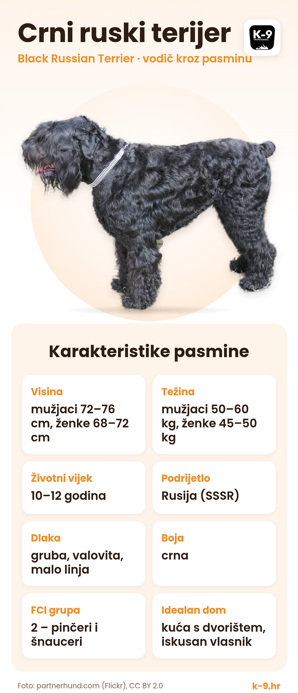 Pasmine - Crni ruski terijer