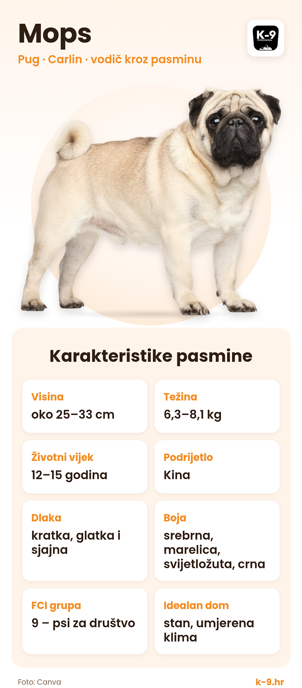 Pasmine- Mops