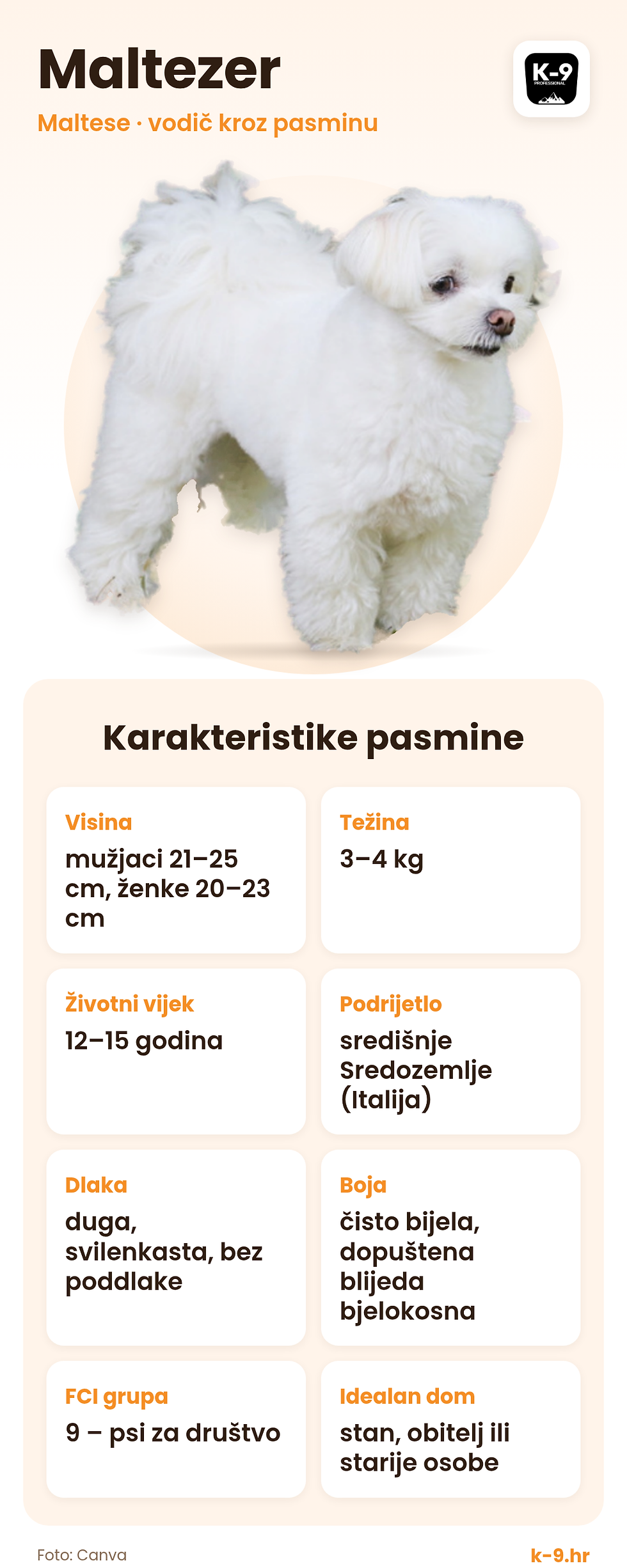 Pasmine- Maltezeri