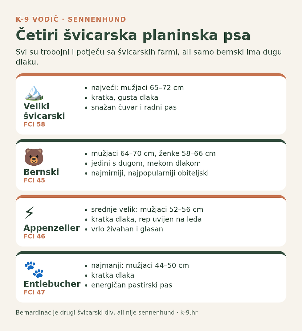 Četiri švicarska planinska psa – veliki švicarski, bernski, appenzeller i entlebucher (K-9 infografika)