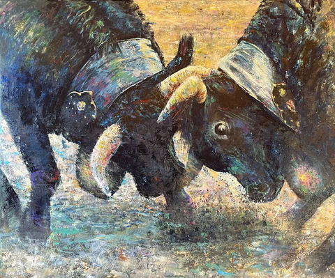 combat des reines, cow fight, valais swiss mountains
