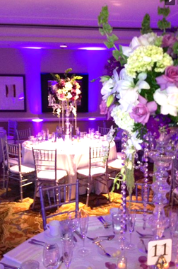 Screen shot 2017-12-03 at 11.30.35 AM.png