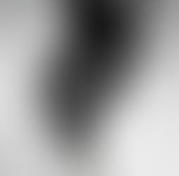 Celebrating World Photography Day: Capturing Moments that Transcend Time