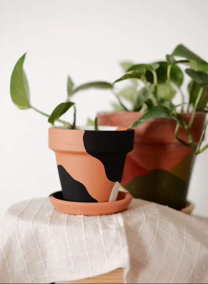 Terracotta Konik Saksı ve Tabak (Siyah Beyaz Abstract) - Zef Design