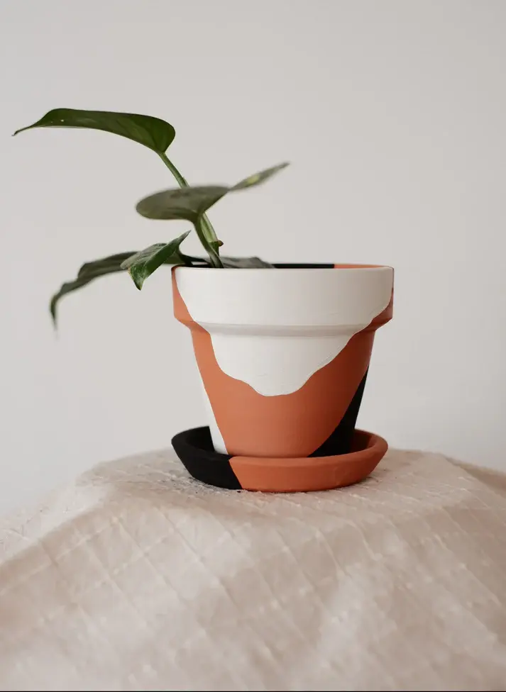 Thumbnail: Terracotta Konik Saksı ve Tabak (Siyah Beyaz Abstract) - Zef Design
