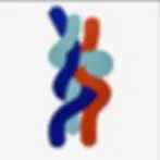 El Yapımı Entwine Halı - Form & Seek