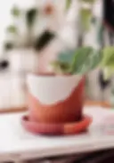 Terracotta Silindir Saksı ve Tabak (Bordo Beyaz) - Zef Design