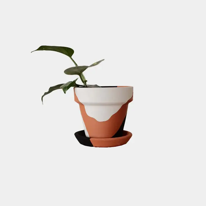 Küçük resim: Terracotta Konik Saksı ve Tabak (Siyah Beyaz Abstract) - Zef Design