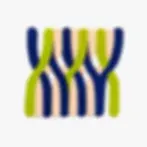 El Yapımı Entwine Halı - Form & Seek