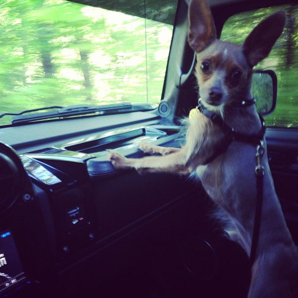 Orvis ridding in the Hummer..
