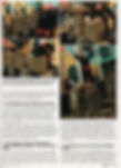 Chad Netherland Inside Kung Fu Mag
