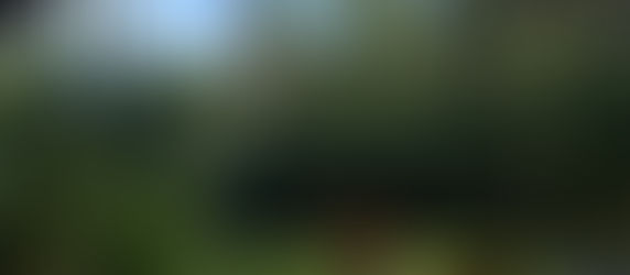 Top Tips for Maximizing Your Airbnb Income