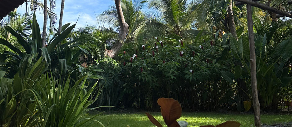 Top Tips for Maximizing Your Airbnb Income