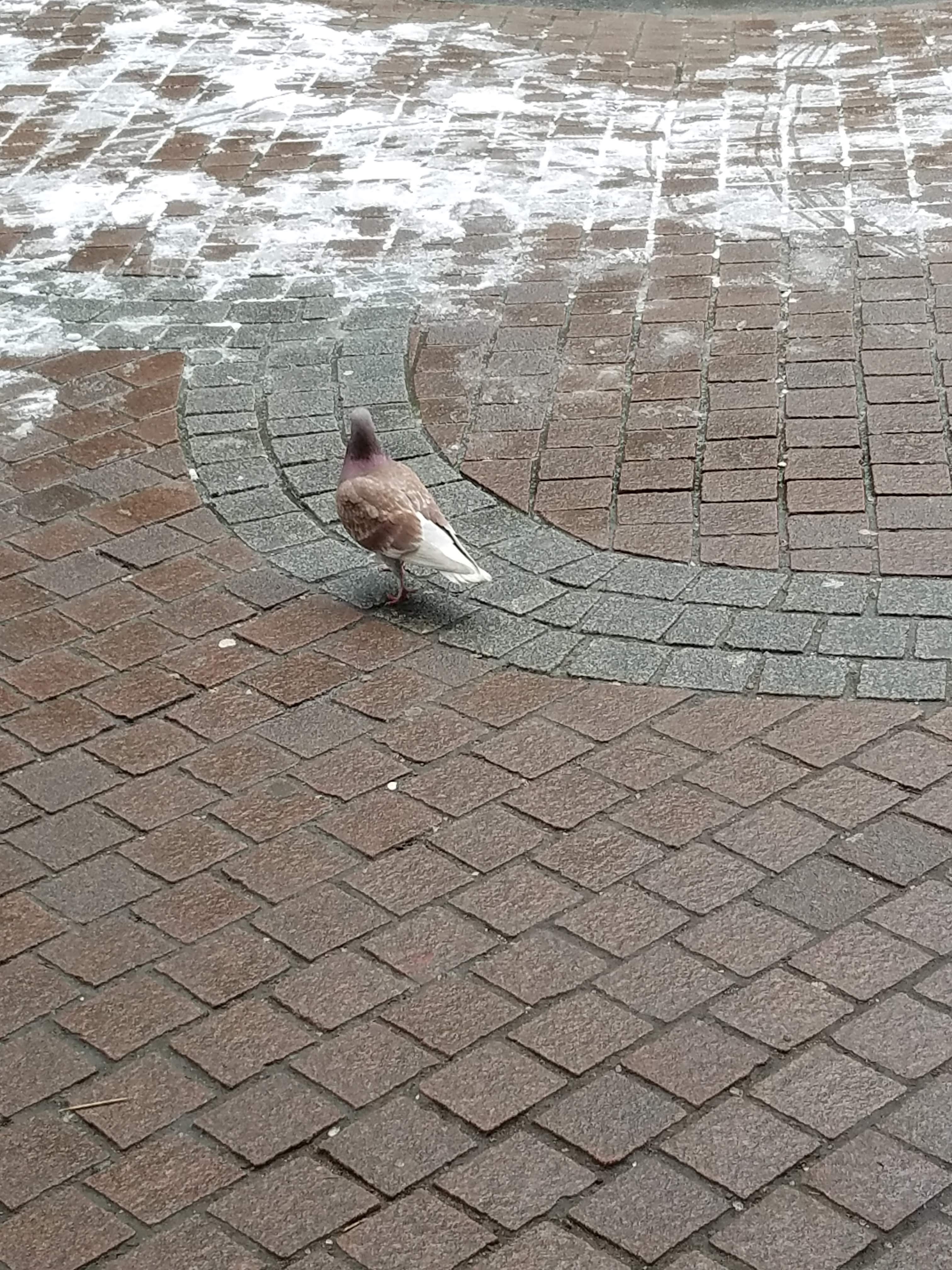 20181230_102802.jpg
