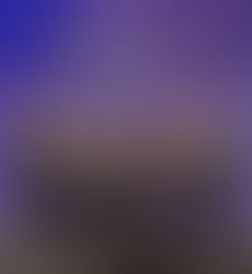 Reconocen a HSBC México como el Mejor Banco para Gestión Patrimonial