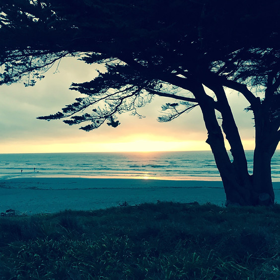 2020 Kapiti Coast Spoofing Championship