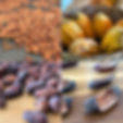 cacao.JPG