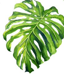AdobeStock_193562835 copy.png