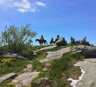 Baladecheval bis.jpg