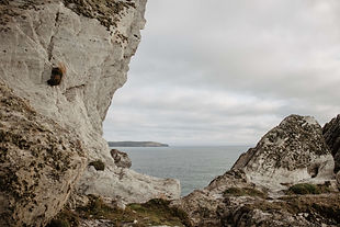 imogen-221-1.jpg
