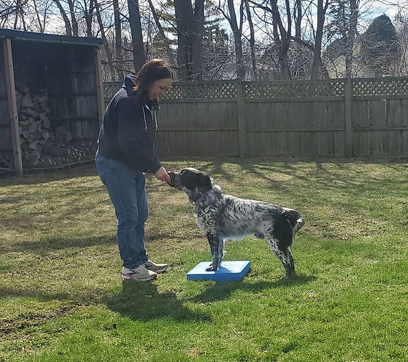 Mecca Curtice helps a dog with building confidence