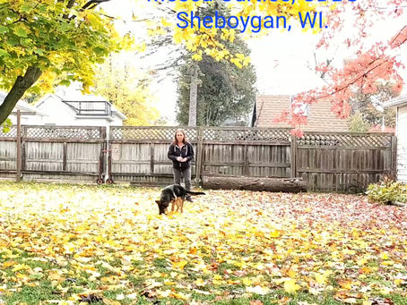 Day Training Does Help