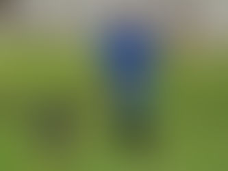 Mecca Curtice working with a reactive cattle dog.