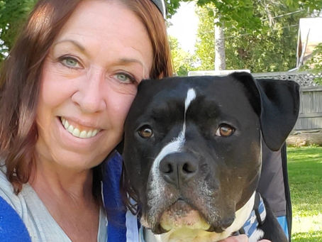 Aggression in Dogs 4th Annual Conference 2023