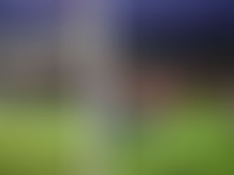 Season Review: November 2024