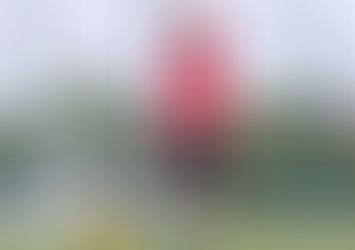 Community News: Club community groups update