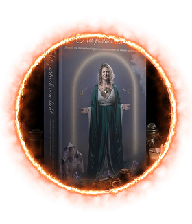 Boek Het Portaal van Licht