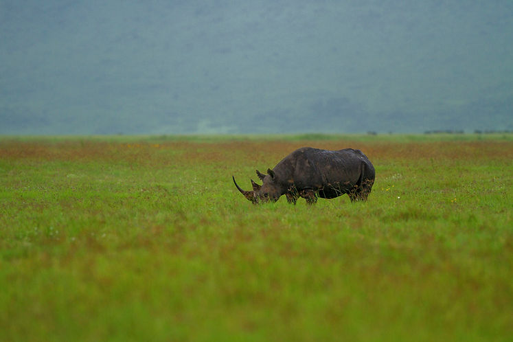 3 Day Safari from Zanzibar