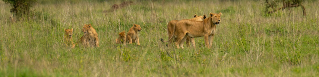 3 Day Tanzania Group Sharing Safari