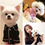 Thumbnail: Pet Pajama - Black
