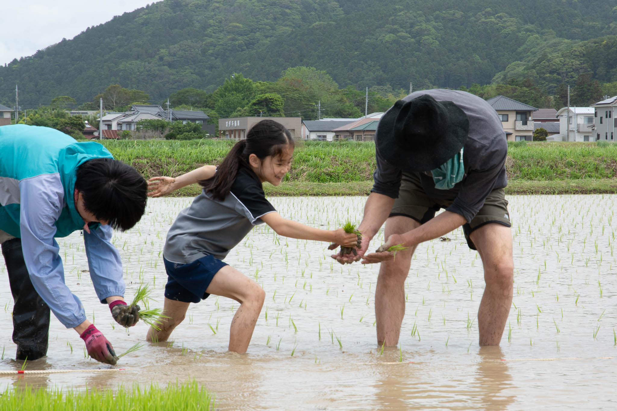 はざ掛け米トラスト 田植え