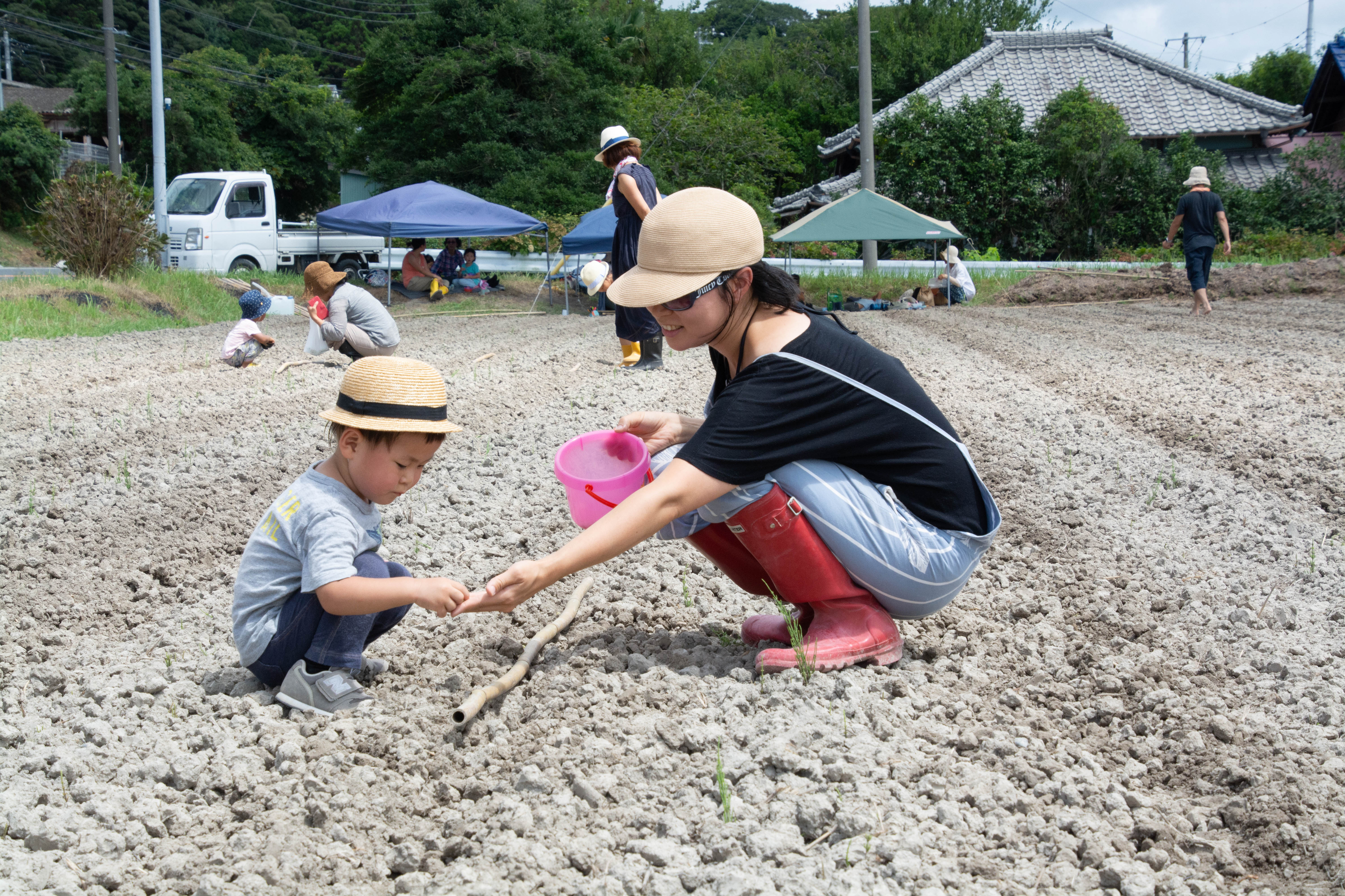 大豆トラスト 種まき